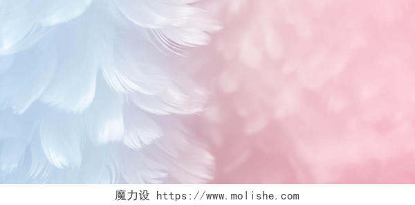 蓝色粉色羽毛梦幻纹理质感图梦幻纹理